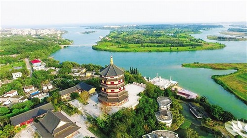 肥猫小面
