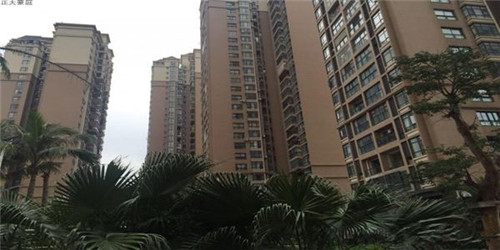 郑洁丽
