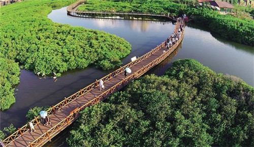 滇君鱼味锡纸包鱼、烤鱼