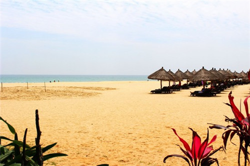 鲨鱼杰克小海鲜焖面