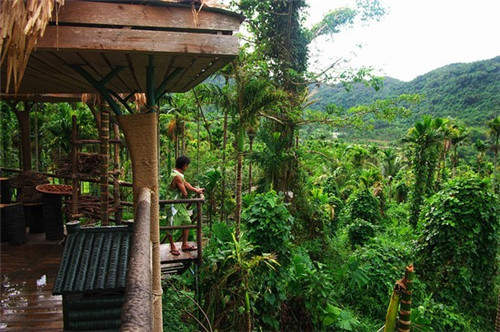 甲醛治理品牌排行榜
