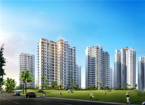 黑坑鱼饵品牌排行榜