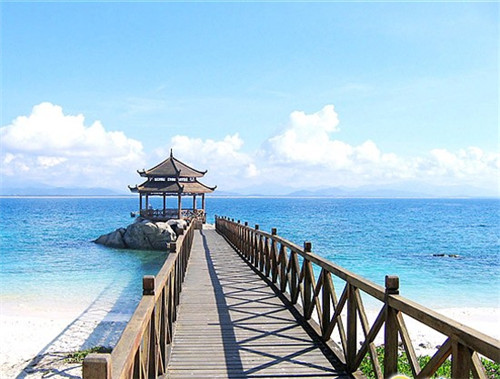盘发工具品牌排行榜