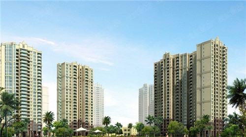 擦鞋什么好用