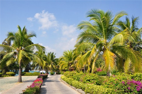 2025年还能在博白县开店吗，在博白县开咪萨自助披萨加盟店竞争大吗