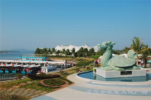 宝宝清炒豆苗怎么炒（宝宝清炒豆苗怎么炒好吃）