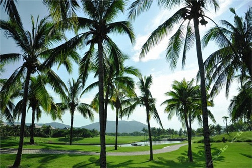 舞美传媒公司起名大全（舞蹈传媒有限公司）