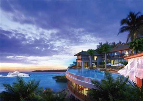 部落种树小游戏怎么玩（部落种树小游戏怎么玩视频）