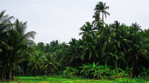 慕巢管家（东莞市慕巢寝室用品有限公司）